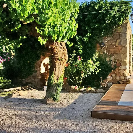 Hébergement de vacances Mas Dadelais Baron (Gard)